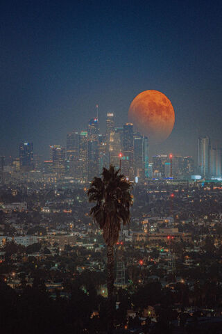Lunar Glow Over Los Angeles 🌙✨