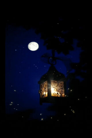 Lantern By Moonlight