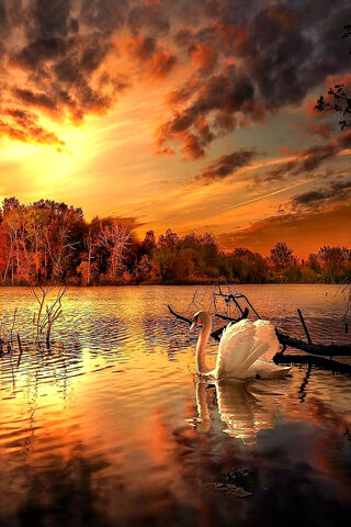 Serenity at Sunset: Moath Bataineh's Masterpiece