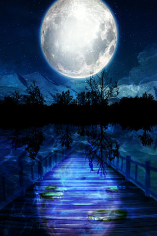 Lunar Reflections: A Journey on the Moon Walkway 🌕✨