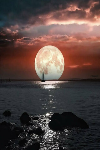 Moonlit Serenity 🌕✨
