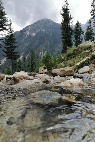 Serenity at Mountain View: Nature's Embrace 🌲🏞️