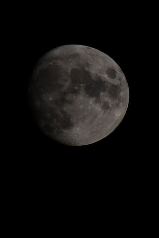 Lunar Serenity: A Glimpse of the Moon 🌙