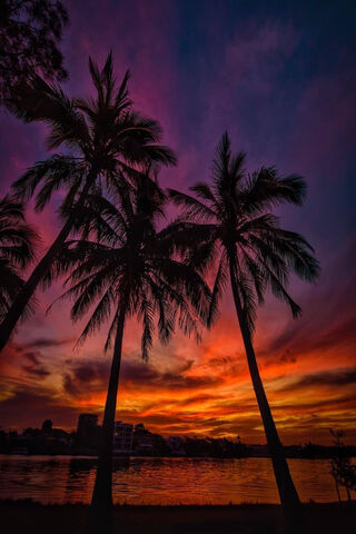 Tropical Twilight Bliss 🌅🌴