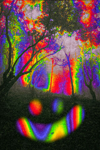 Vibrant Forest of Dreams 🌈🌳