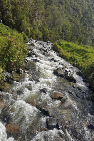 Serenity of Pradera: Nature's Embrace 🌿💧