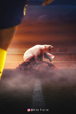 Tribute to the Heart of Boca Juniors 💙💛