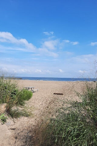 Tranquil Shores: A Day at the Beach 🌊☀️