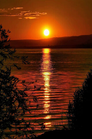 Fiery Horizon: A Sunset Symphony 🌅✨