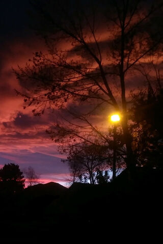 Twilight Glow: Nature's Canvas 🎨🌅