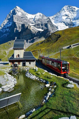 Charming Swiss Journey 🚂🏔️