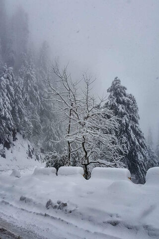 Whispers of Winter: A Snowy Embrace ❄️🌨️