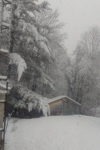 Winter Wonderland at the Snowy Shack ❄️🏡