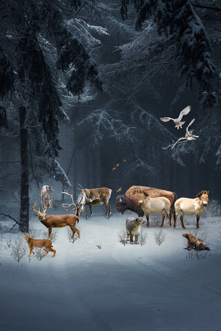 Whispers of Winter: A Snowy Forest Wonderland ❄️🌲