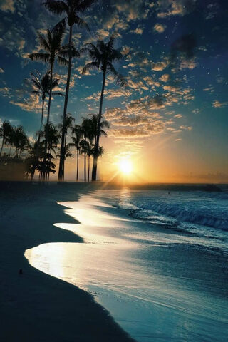Sunset Serenity at the Shore 🌅