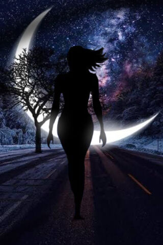 Moonlit Journey: The Path of Dreams 🌙✨