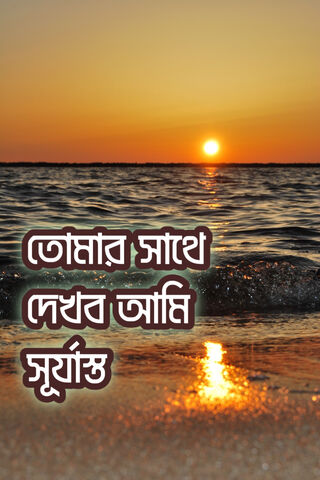 Golden Horizons: A Bengali Sunset