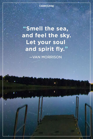 Soulful Serenity Under the Stars ✨🌊