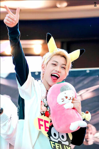Felix's Playful Charm! 🎉