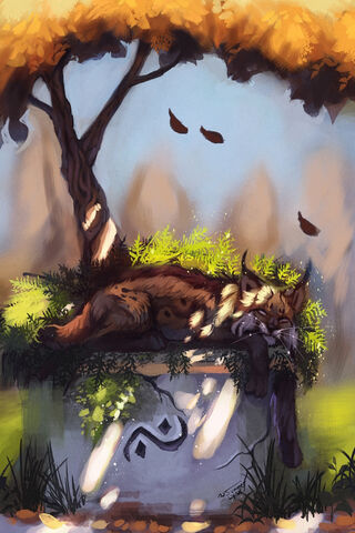Dreamy Days of the Lynx 🌿😴