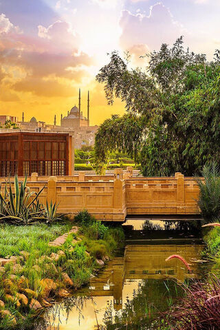 Sunset Serenity in the Heart of Egypt 🌅