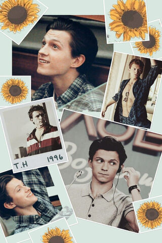 Tom Holland: A Star in Bloom 🌻✨