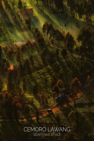 Serenity in the Hills: A Glimpse of Cemoro Lawang