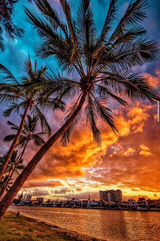 Sunset Serenity 🌅