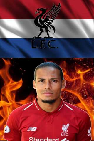 Van Dijk: The Guardian of Liverpool's Defense 🔴🛡️