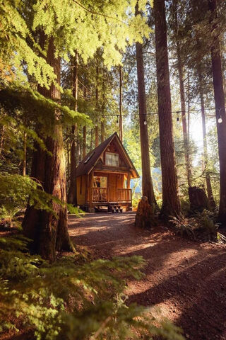 Enchanted Forest Retreat 🌲🏡