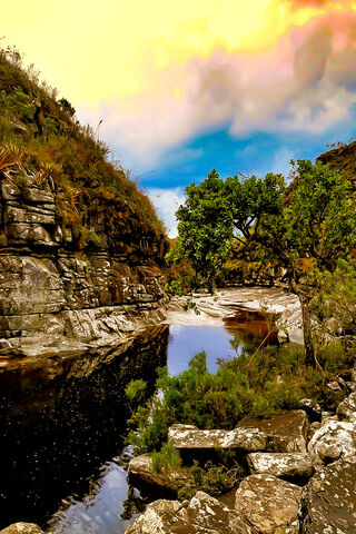 Nature's Cascade: A Serene Escape 🌊🌳
