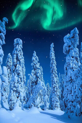 Enchanted Winter Wonderland ❄️🌌