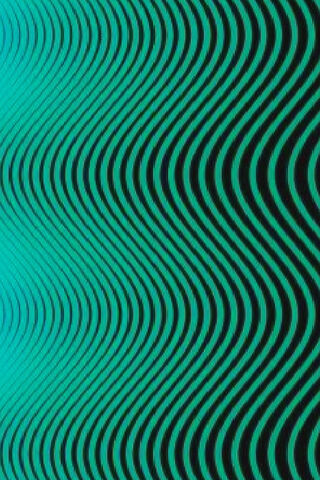 Groovy Waves of Wavy Gravy 🌊✨