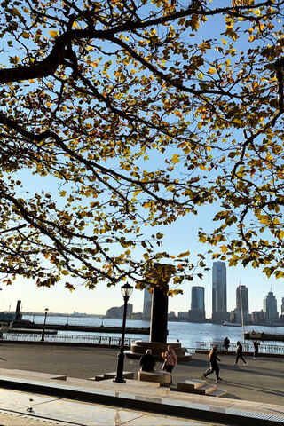 Autumn Serenity in NYC 🌆🍂