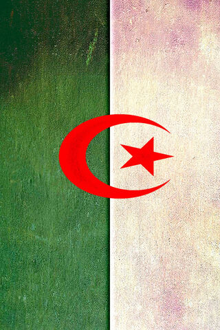 The Spirit of Algeria: A Flag of Unity 🇩🇿
