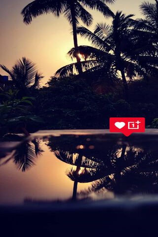 Sunset Serenity: Reflections After the Rain 🌅💧