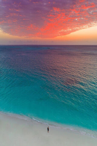 Sunset Serenity: Embracing the Evening Glow 🌅✨
