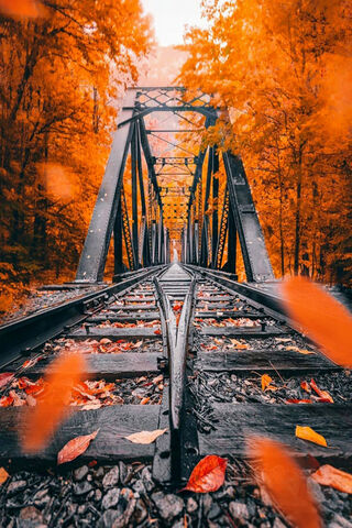 Golden Tracks of Autumn 🍂🚂