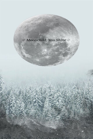 Embrace the Moonlight: A Tribute to Moonchild 🌙✨