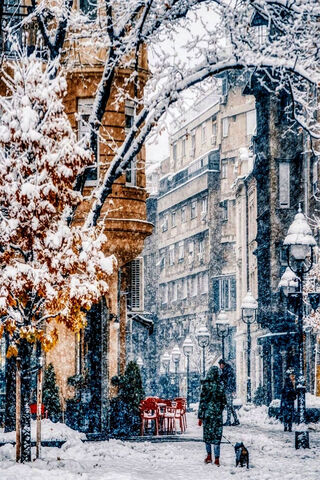 Winter Wonderland in Beograd ❄️🏙️