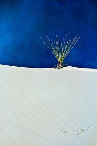 Serenity in the Sands: BSI White Sands 03