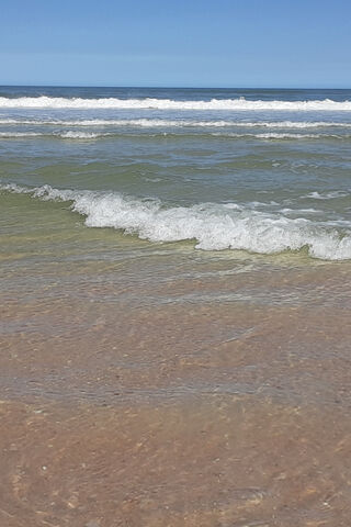 Sandy Shores and Gentle Waves 🌊☀️