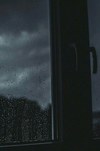 Whispers of Winter Rain