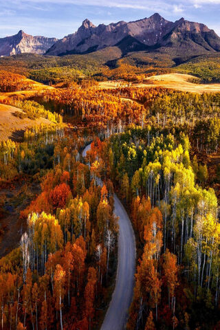 Autumn's Embrace: A Vibrant Journey