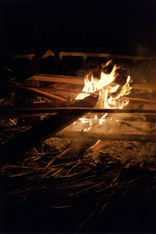 Embers of Adventure: A Night by the Campfire 🔥🌌