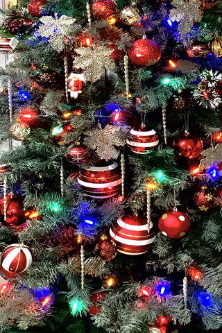Festive Wonderland: A Christmas Tree Delight 🎄✨