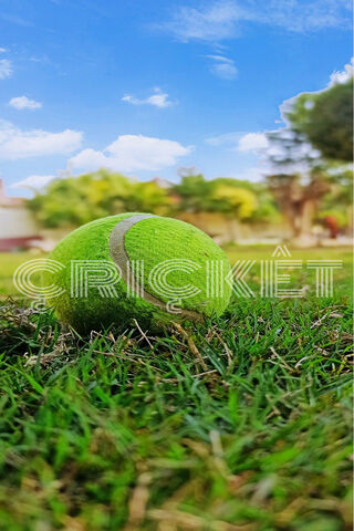 The Heart of the Game: Cricket Ball in Action! 🏏🌿
