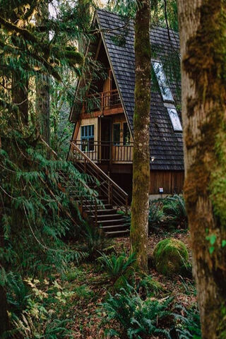 Enchanted Retreat in the Forest 🌲🏡