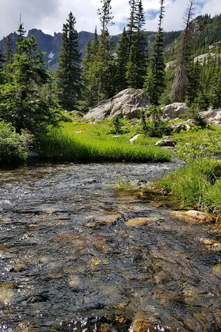 Serenity of the Colorado River 🌊🌲
