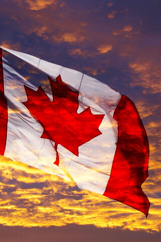 Maple Leaf Majesty: Canada’s Flag in Motion 🇨🇦